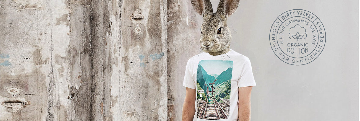 Apparel
