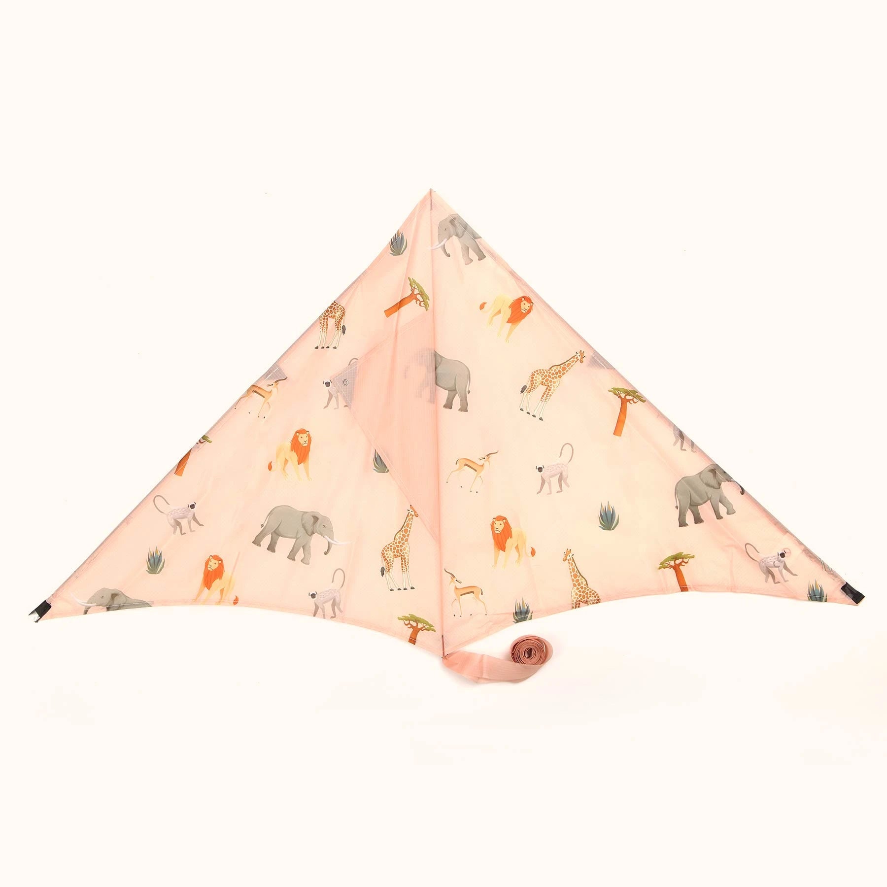 Africa Sustainable Kite