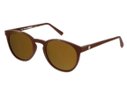 Albacore Brown - Gold Mirror - Sunglasses by Coral Eyewear