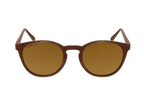 Albacore Brown - Gold Mirror - Sunglasses by Coral Eyewear