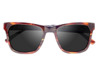 Capri - Sunglasses by Wildwood
