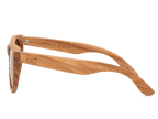 Classic Zebra - Sunglasses by Wildwood