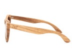 Classic Zebra - Sunglasses by Wildwood