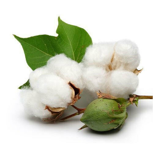 Raw organic cotton