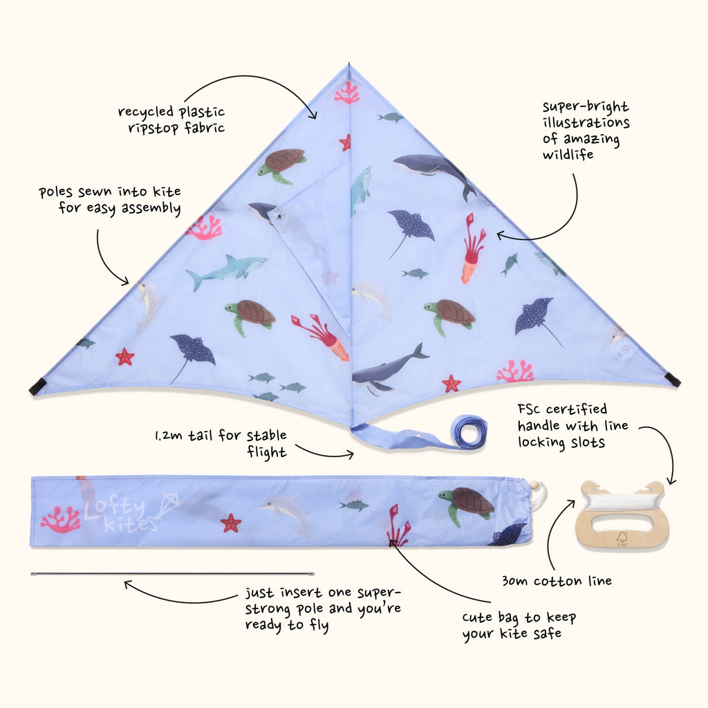 Ocean - Sustainable Kite - Kite by Lofty Kites
