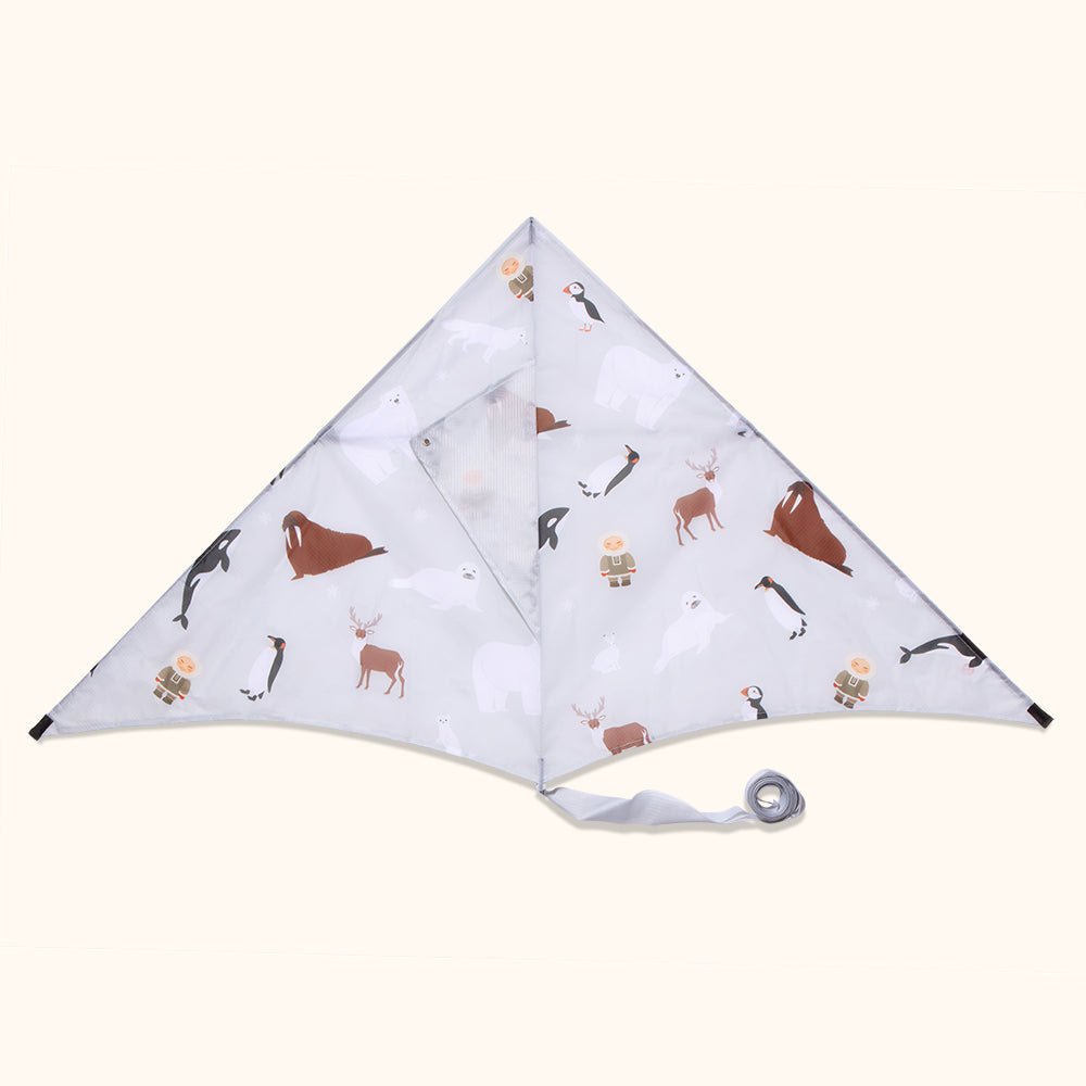 Polar - Sustainable Kite - Kite by Lofty Kites