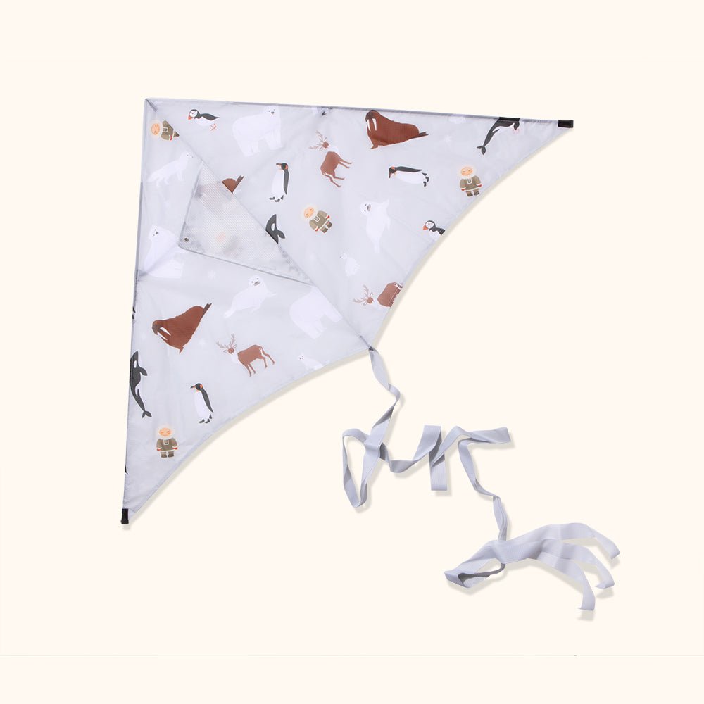 Polar - Sustainable Kite - Kite by Lofty Kites