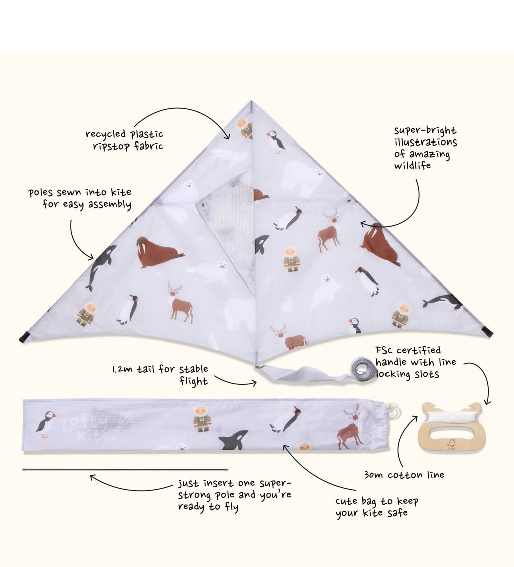 Polar - Sustainable Kite - Kite by Lofty Kites