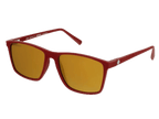 Vaquita Red - Gold Mirror - Sunglasses by Coral Eyewear
