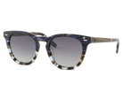 Sunglasses with tortoiseshell frame and dark lenses on a white background